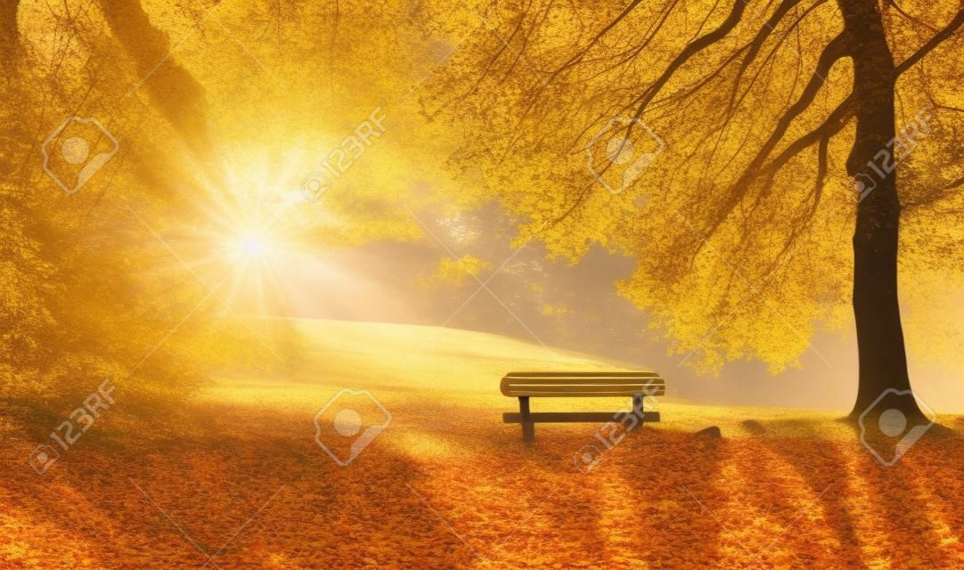 Paisaje de otoño con el sol iluminando con gusto un banco bajo un árbol, un montón de hojas de oro y cielo azul