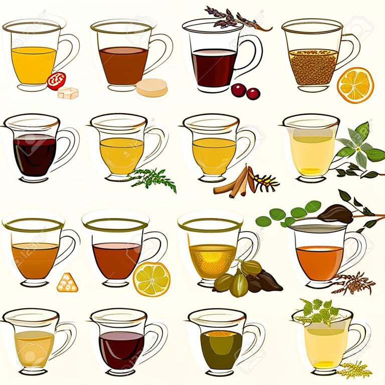 不同品种的草药茶和药用茶