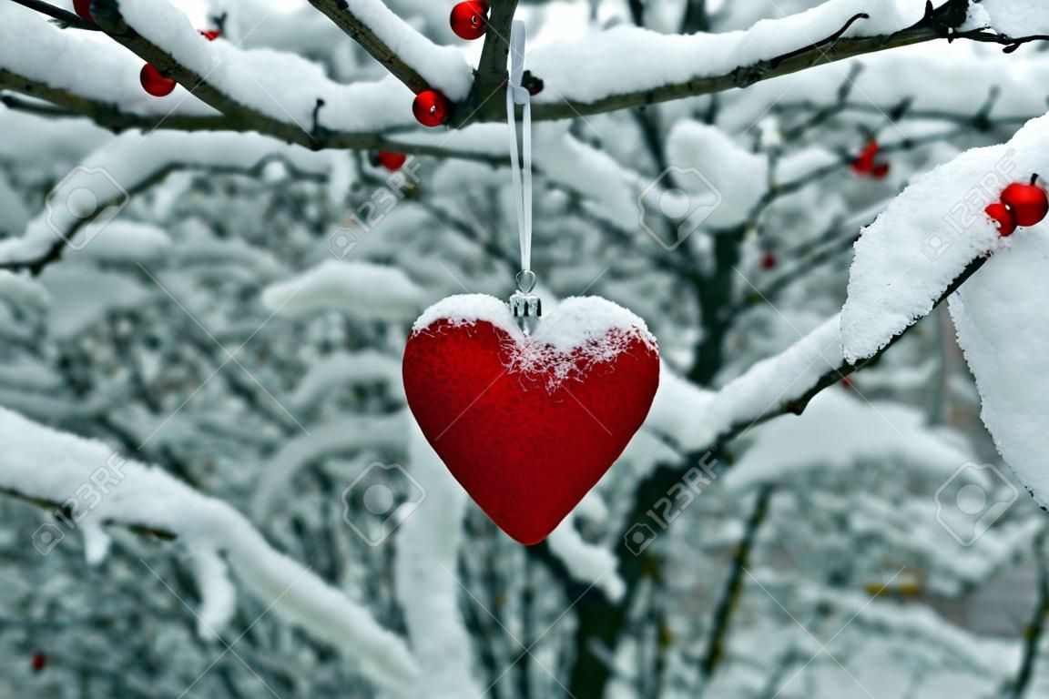 A Christmas tree toy in the form of a heart hangs on a branch covered with snow.