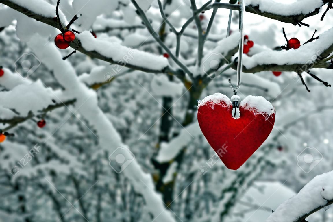 A Christmas tree toy in the form of a heart hangs on a branch covered with snow.
