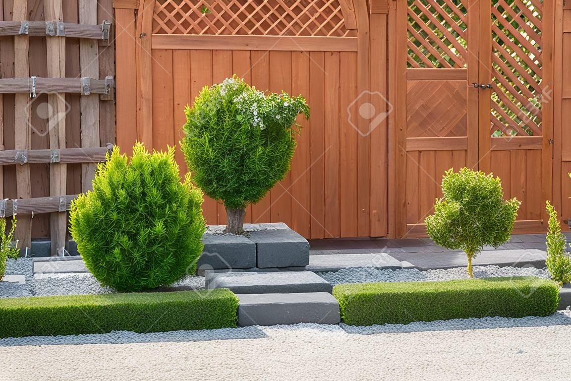 Декоративные растения во дворе с деревянным забором