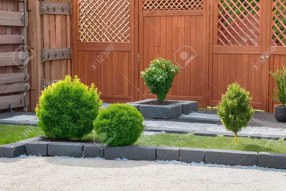 Plantas ornamentais em quintal com cerca de madeira