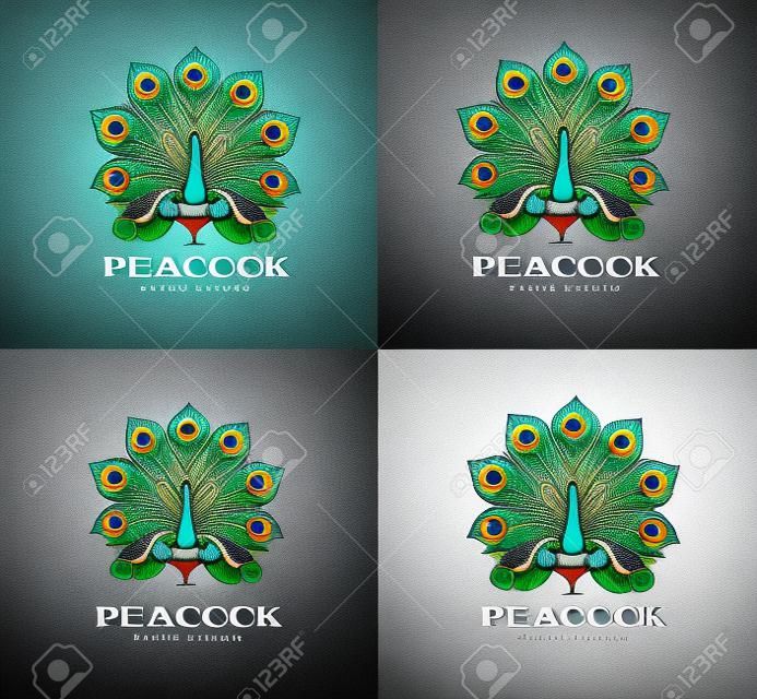 Illustration peacock, set logo design. Color version