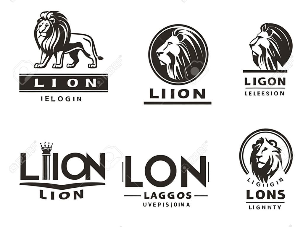 Lion Logo-Set - Vektor-Illustration, Design-Emblem