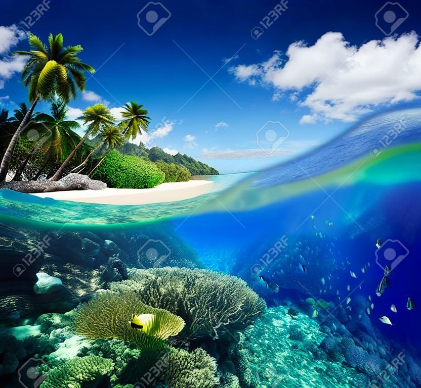Korallenriffe in tropischen Meer auf dem Hintergrund der grünen Insel