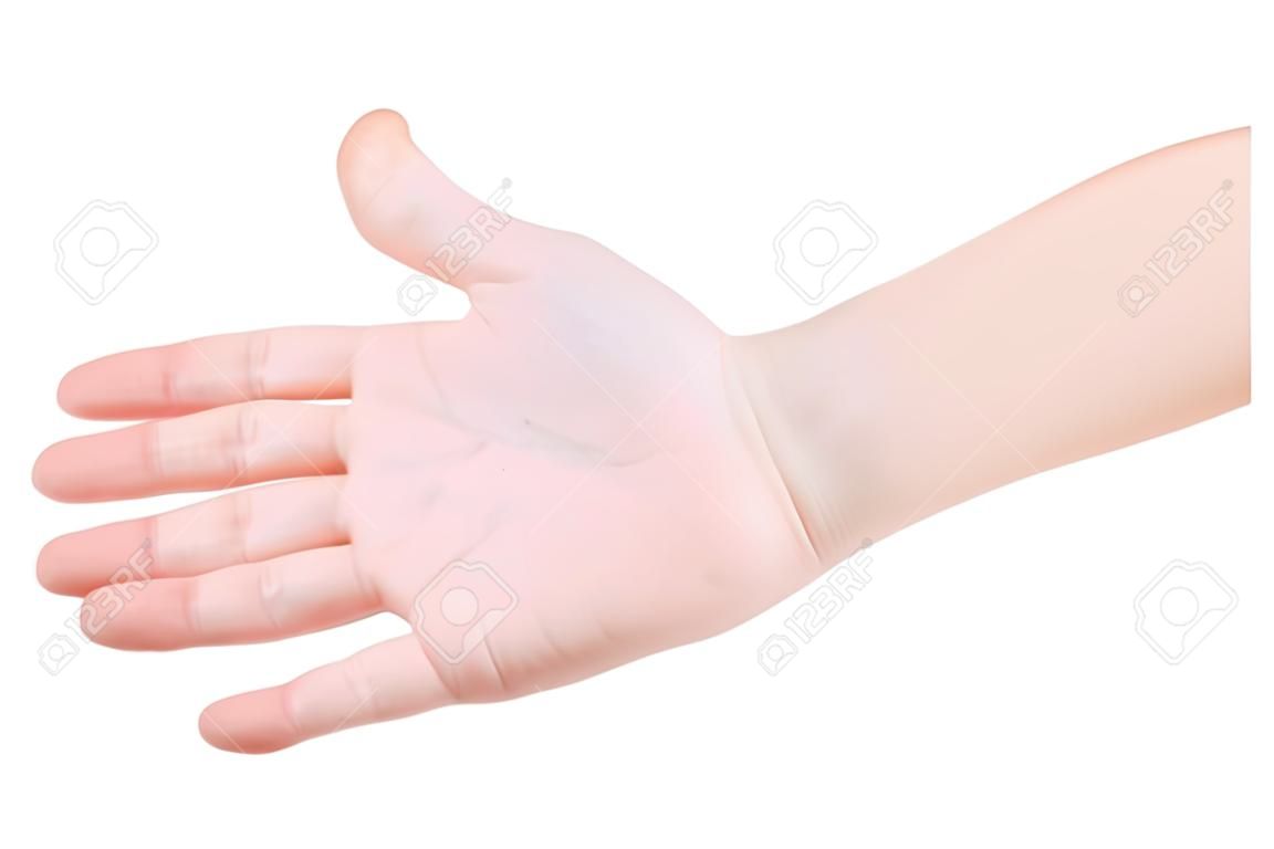 Children's hand isolated on white background