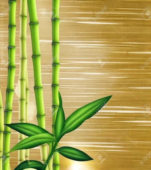 muchos tallos de bambú y haz de luz
