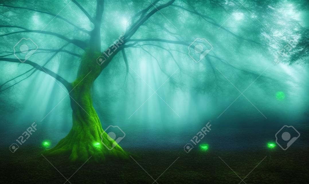 árbol de las hadas en bosque mystic