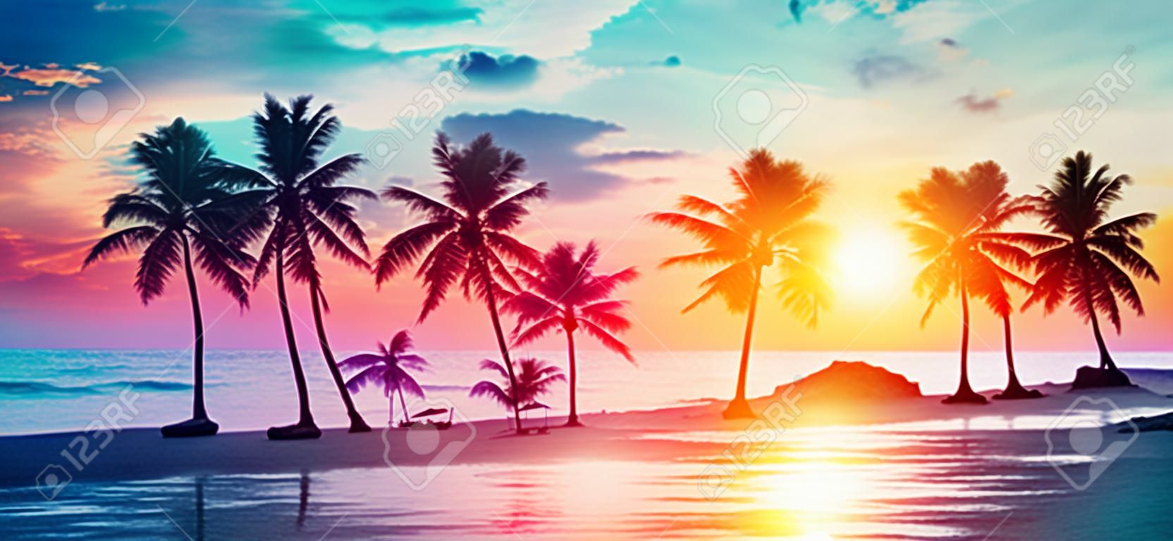 Palmeiras silhuetas na praia tropical no por do sol - cores vintage modernas