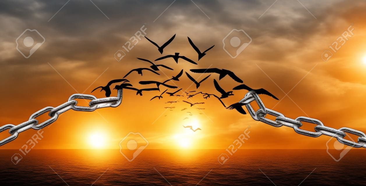 Sulle ali della libertà - Uccelli in volo e catene spezzate - Concetto di carica