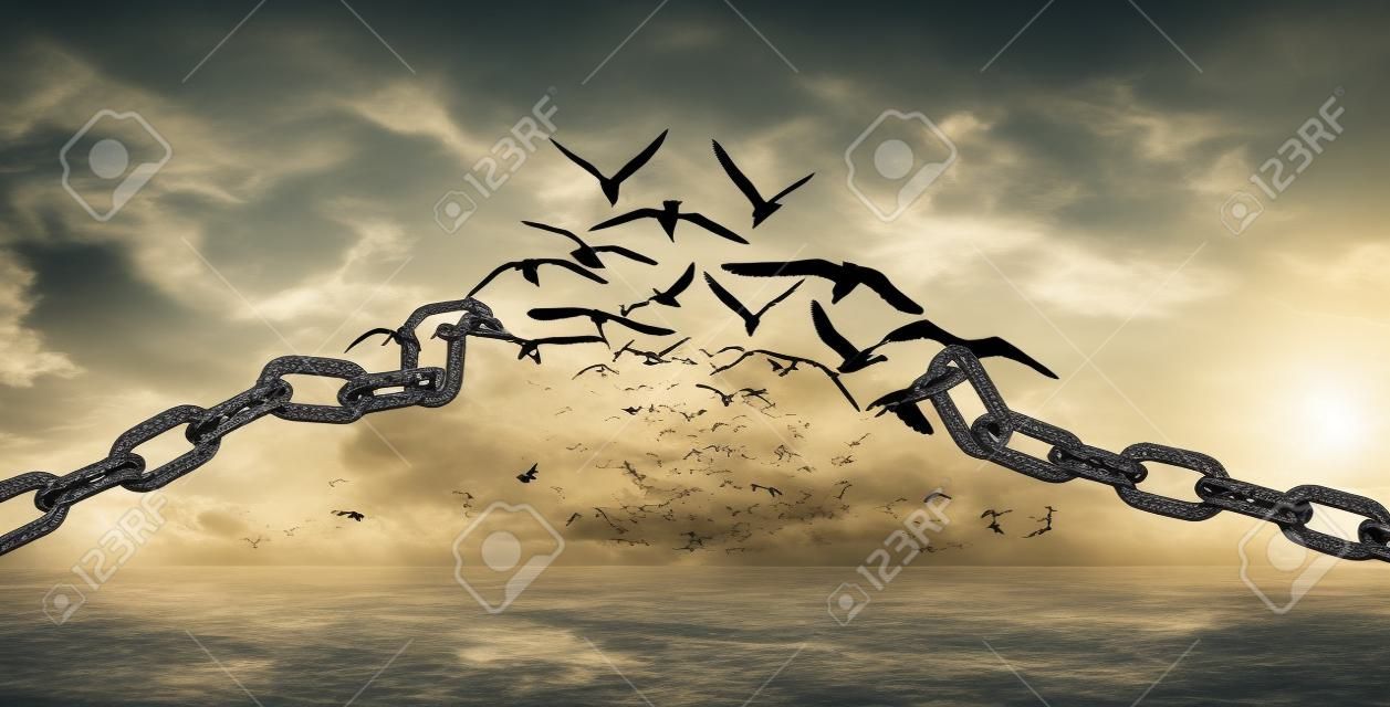 Auf den Flügeln der Freiheit - Fliegende Vögel und gebrochene Ketten - Charge Concept