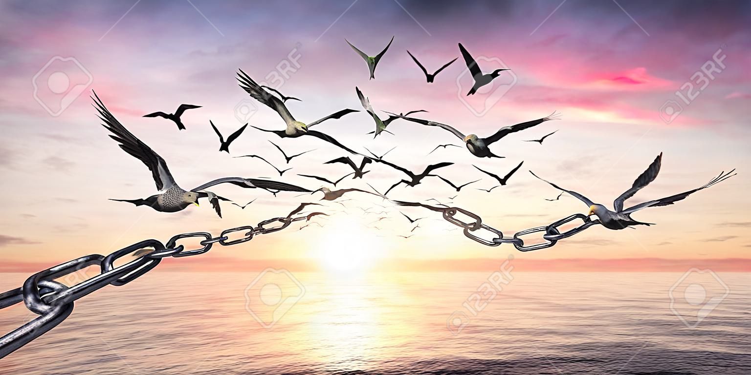 자유의 날개 위에서 - 날아가는 새와 부러진 사슬 - 전하 개념