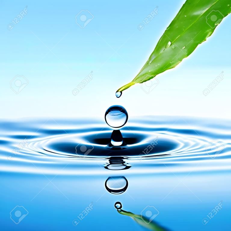 Gota de agua de la hoja verde sobre fondo de verano