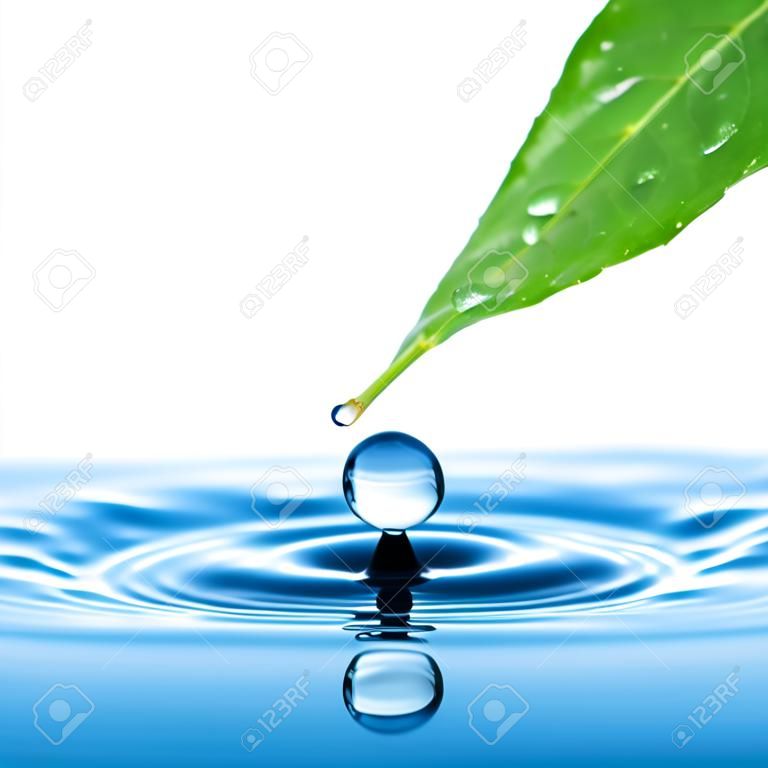 Waterdruppel van groen blad op zomerachtergrond