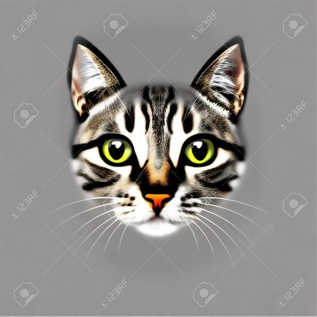 Cat животных лицо фильтр шаблон видео чат фото эффект вектор изолированных значок