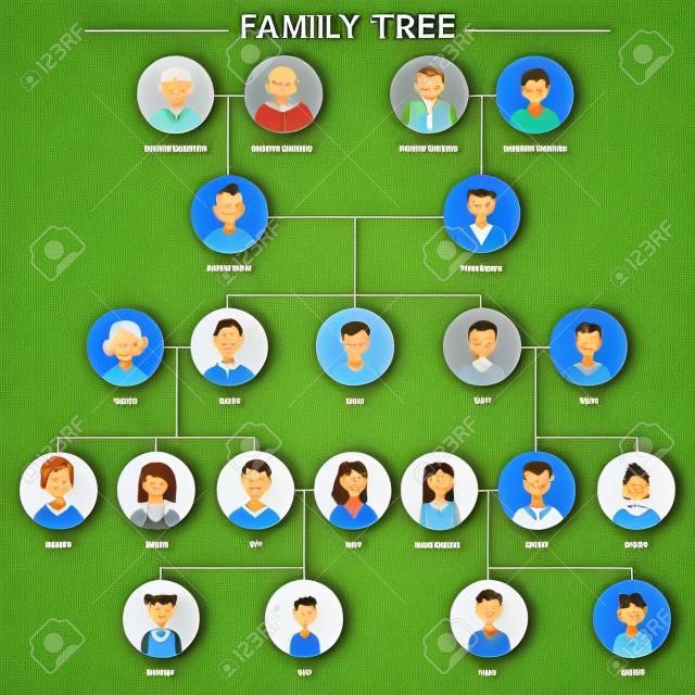 Family tree human avatars relationship scheme