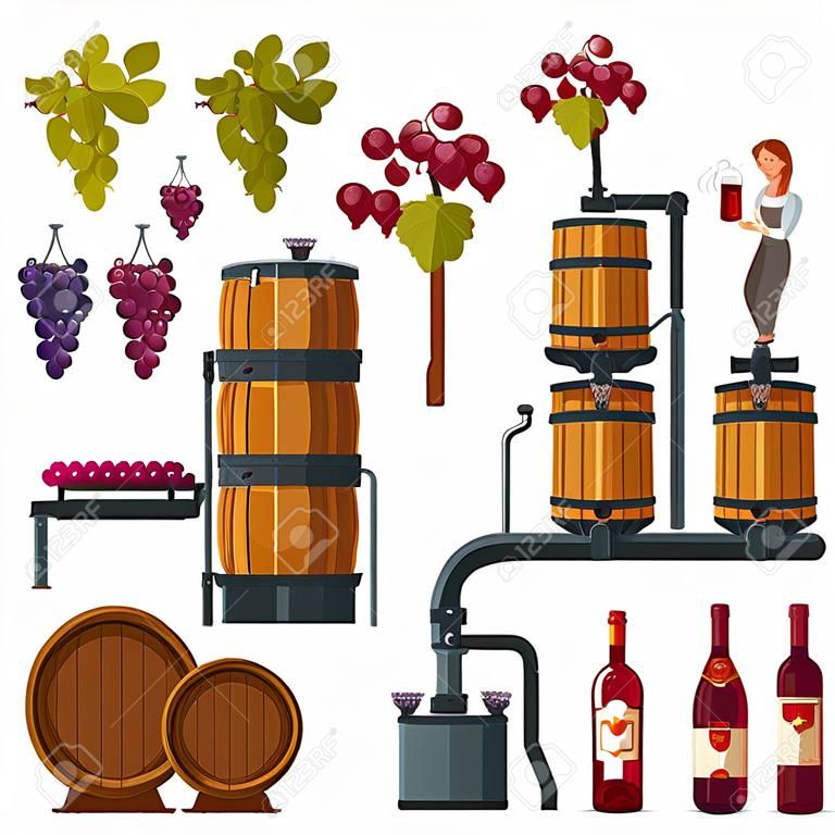 Winemaking process illustrated from grapes growing till wine bottling