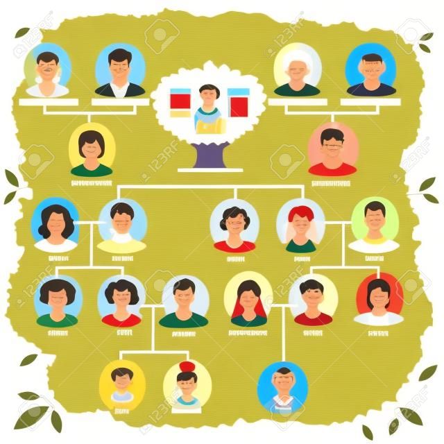 Members of family arranged schematically to show relationships and connection. Ancestry and dynasty. Genealogy and generations discoveries. Parents and siblings, grandmother and father. Vector in flat
