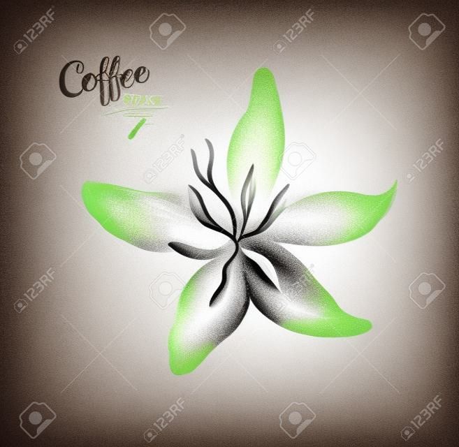 Vector krijt getekend schets van koffie bloem op krijtbord achtergrond.