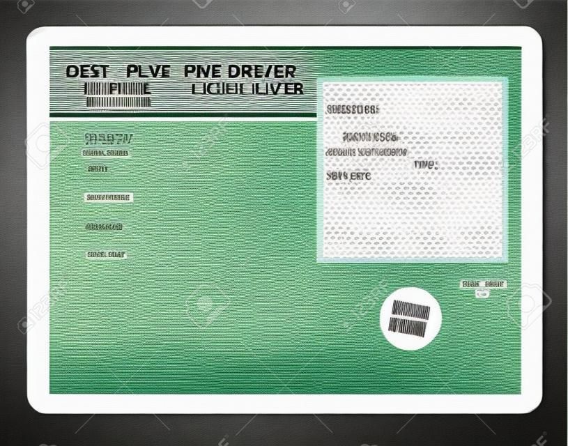 blank drivers license