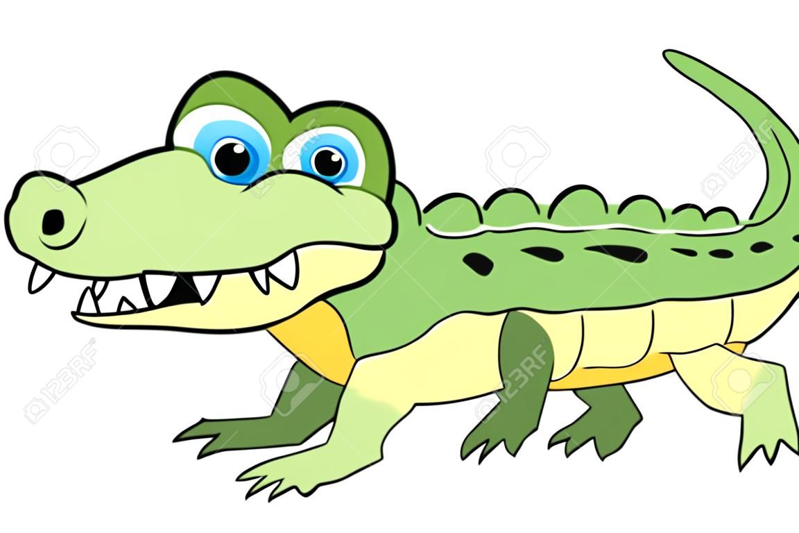 Aranyos Looking Crocodile