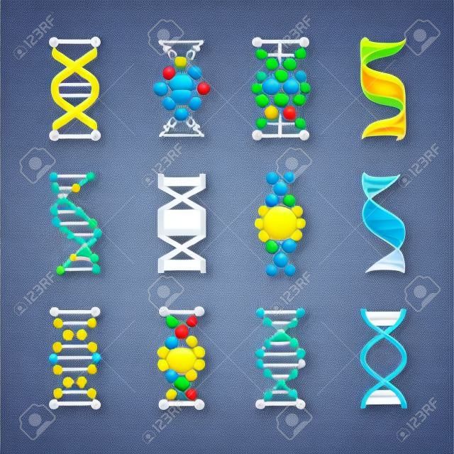 DNA pictogrammen. Genetische structuur code, DNA molecule modellen geïsoleerd op witte achtergrond. Genetische instructies vector symbolen