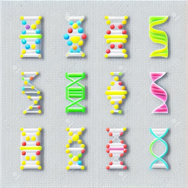 Iconos de ADN. Código de estructura genética, modelos de moléculas de ADN aisladas sobre fondo blanco. Símbolos vectoriales de instrucciones genéticas