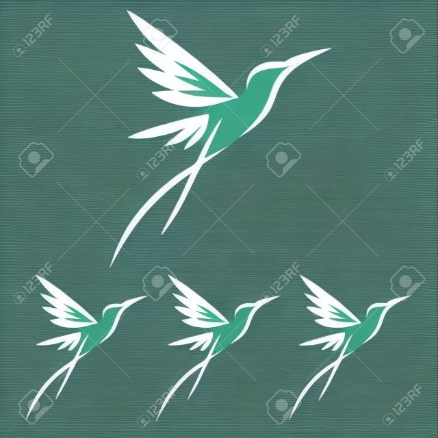 Plantilla de vector color estilizados colibríes tropicales para Icon Diseño