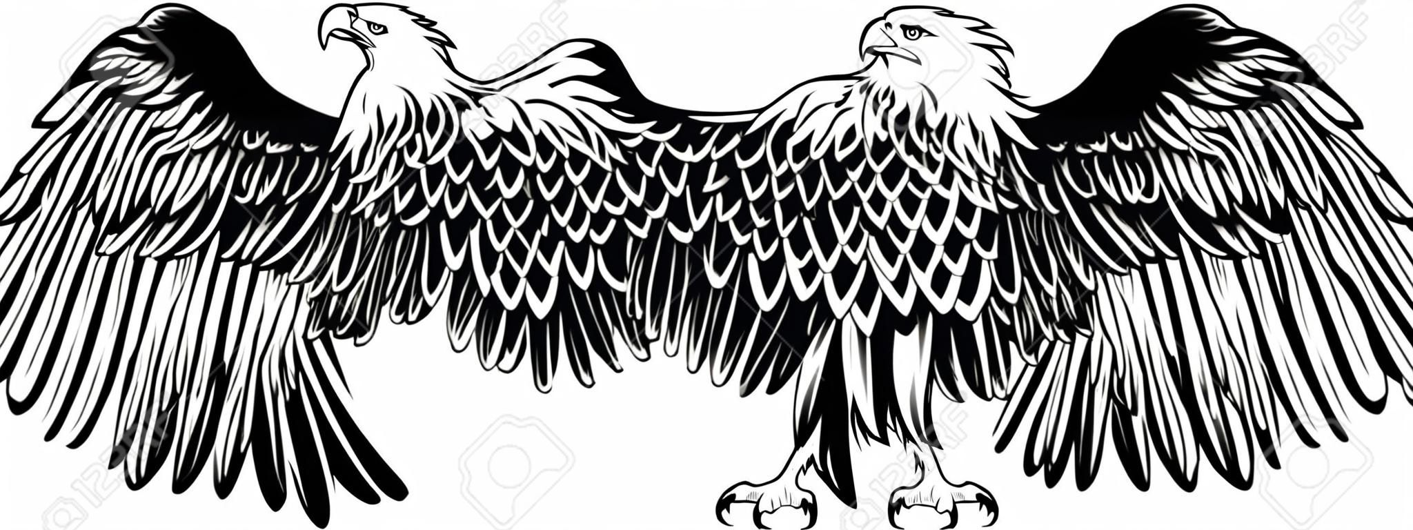 Imagen vectorial de un águila con las alas rectas