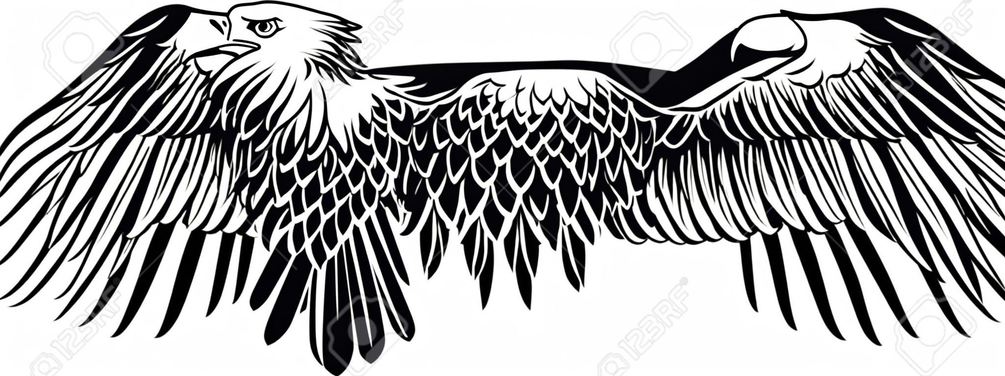 Imagen vectorial de un águila con las alas rectas