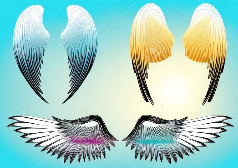 Résumé ailes vecteur illustration set