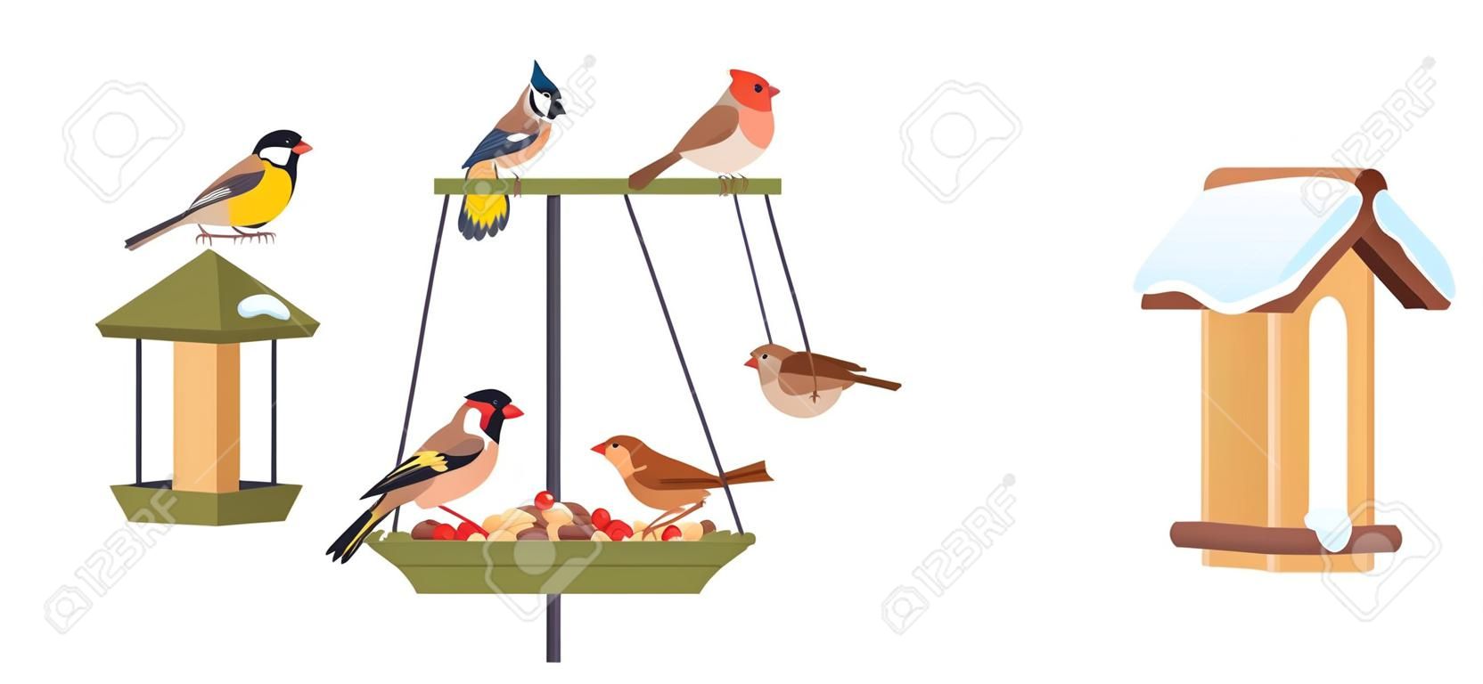 Karmnik dla ptaków zimowa karma dla ptaków karmienie lasów kardynał sikora ogród wiszący podwórkowy domek dla ptaków z nasionami dzika przyroda budowa plakat wektor ilustracja