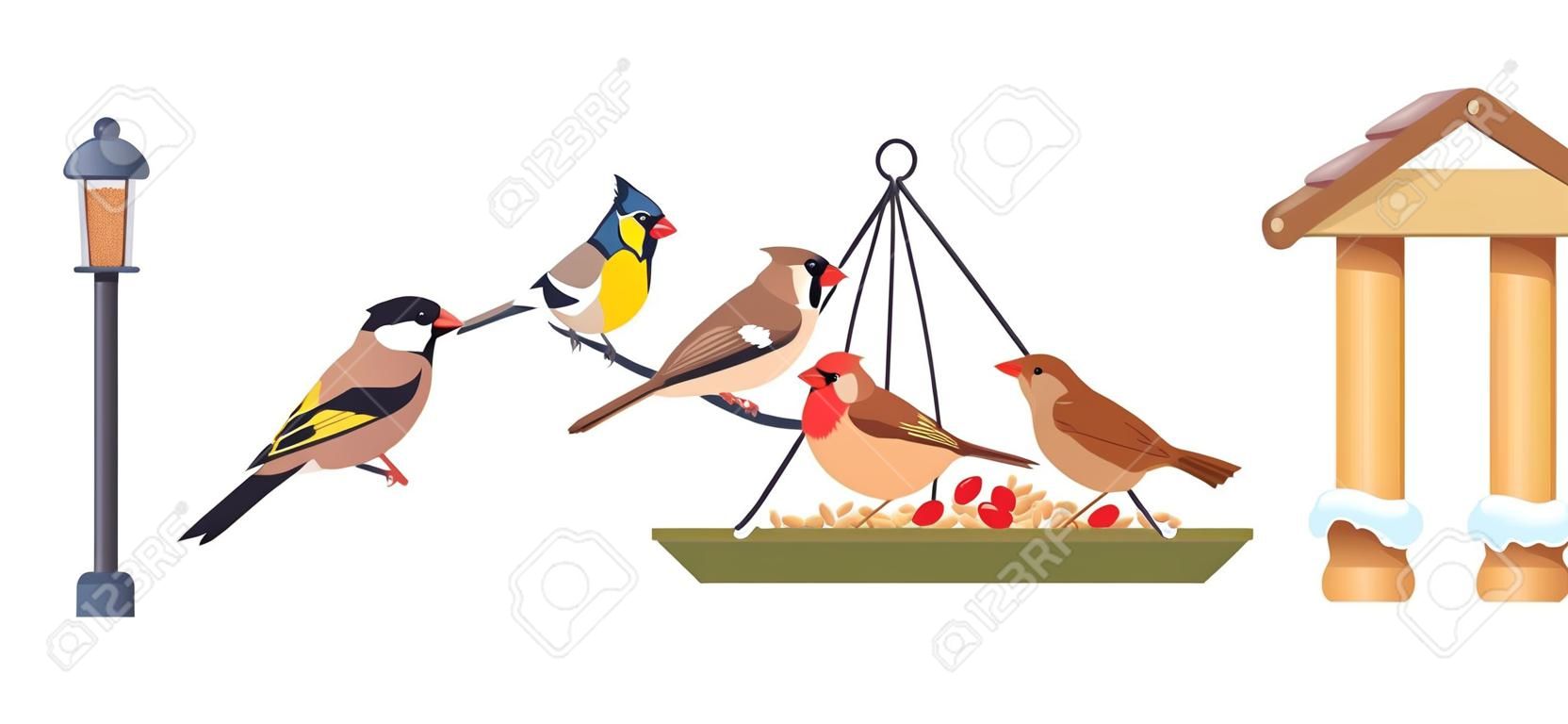 Bird feeder. Winter food feed for birds, woodland feeding cardinal chickadee, garden hanging backyard birdhouse with seeds, wildlife construction, poster vector illustration