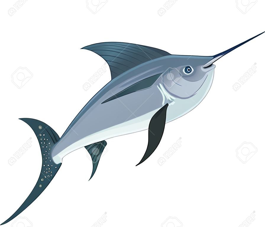 Swimming swordfish. Cartoon fish icon. Underwater animal
