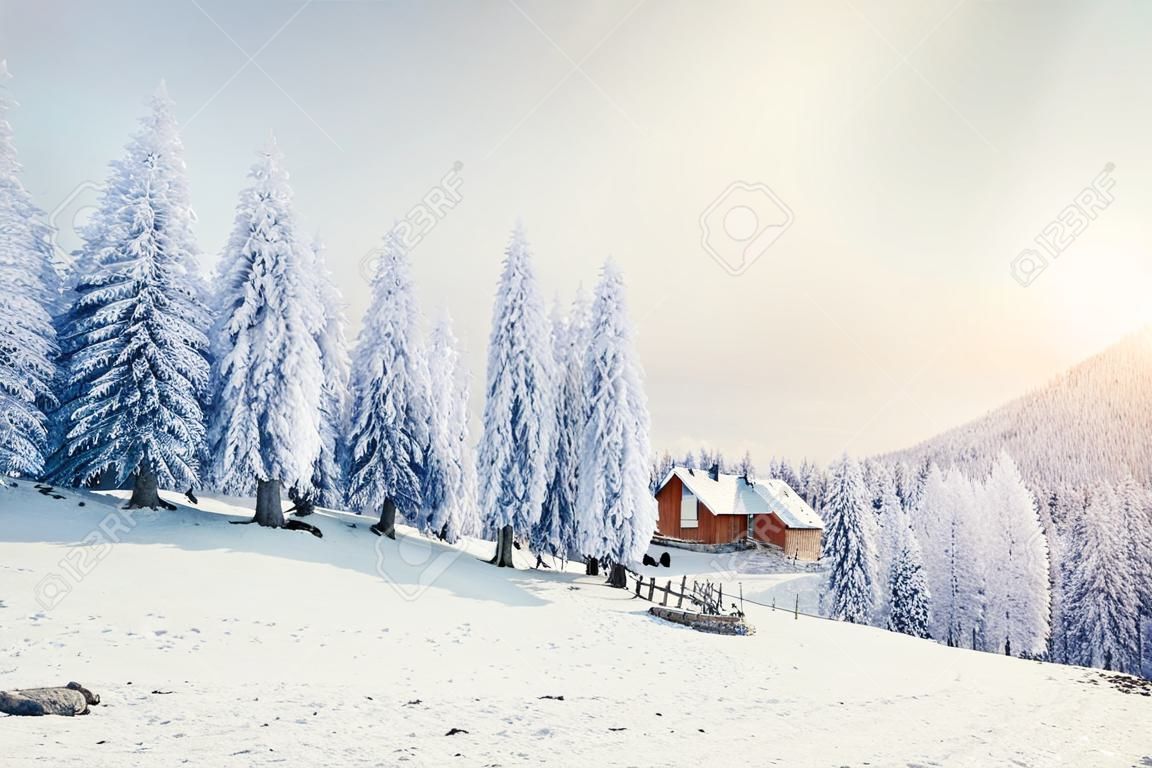 cabine dans les montagnes en hiver