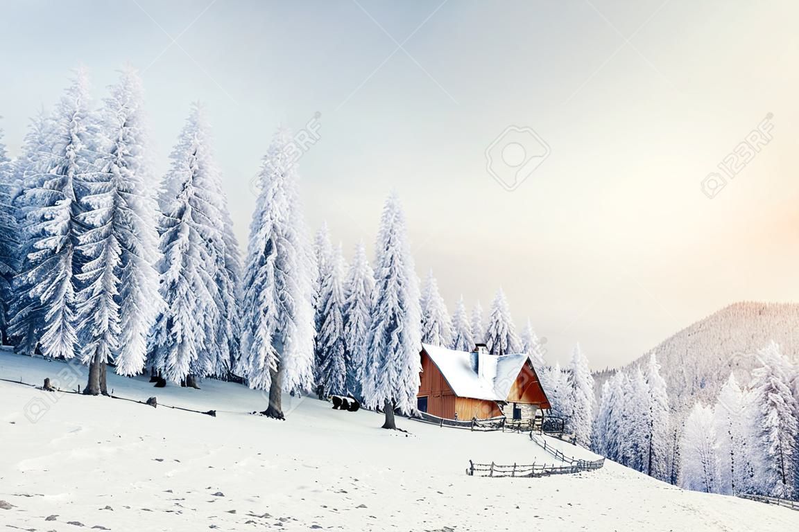 cabin in the mountains in winter
