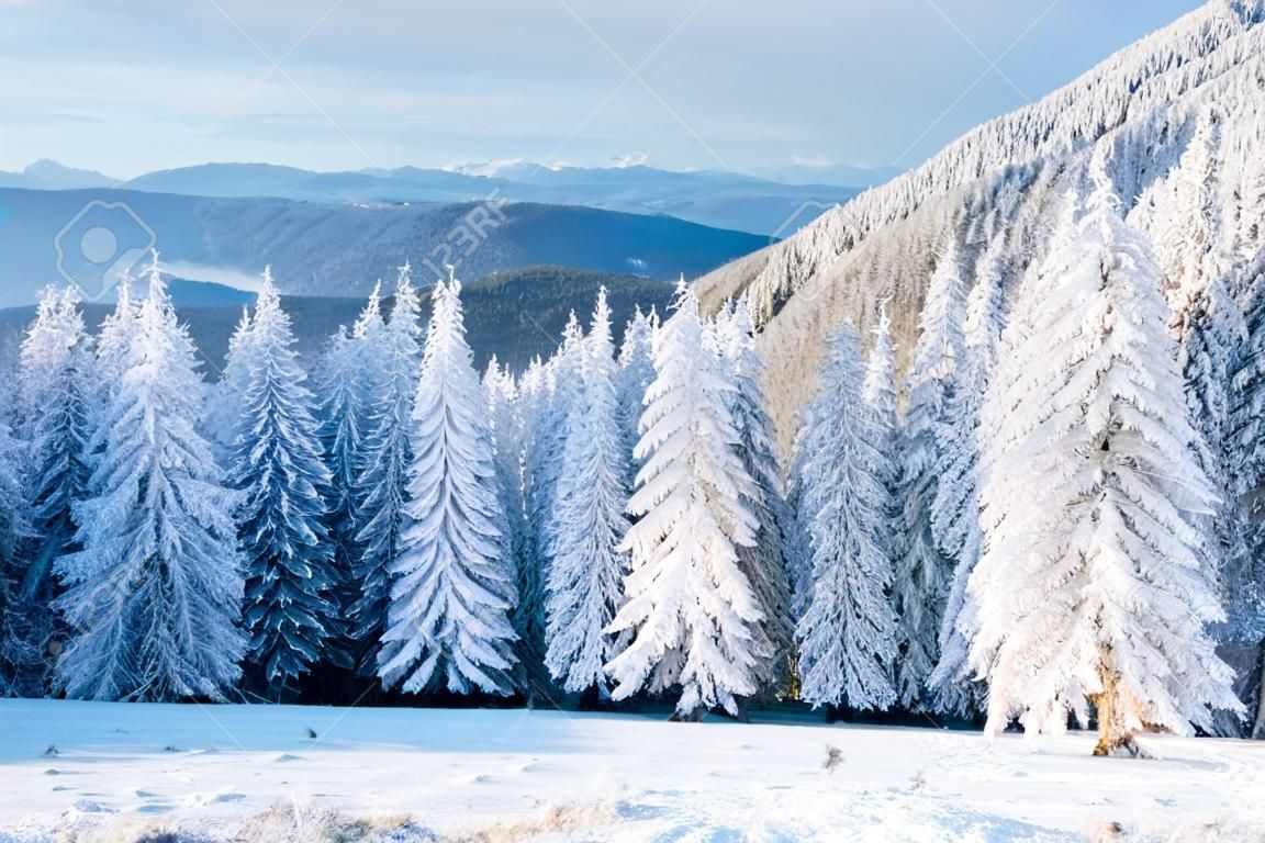 Fantastische Winterlandschaft. Magischer Sonnenuntergang in den Bergen ein eisiger Tag. Am Vorabend des Urlaubs. Die dramatische Szene. Karpaten, Ukraine, Europa. Frohes neues Jahr.