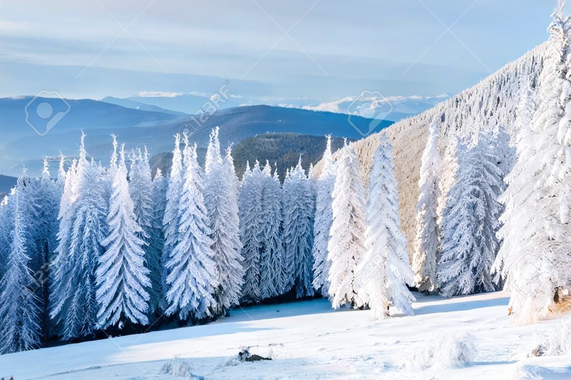 Fantastische Winterlandschaft. Magischer Sonnenuntergang in den Bergen ein eisiger Tag. Am Vorabend des Urlaubs. Die dramatische Szene. Karpaten, Ukraine, Europa. Frohes neues Jahr.