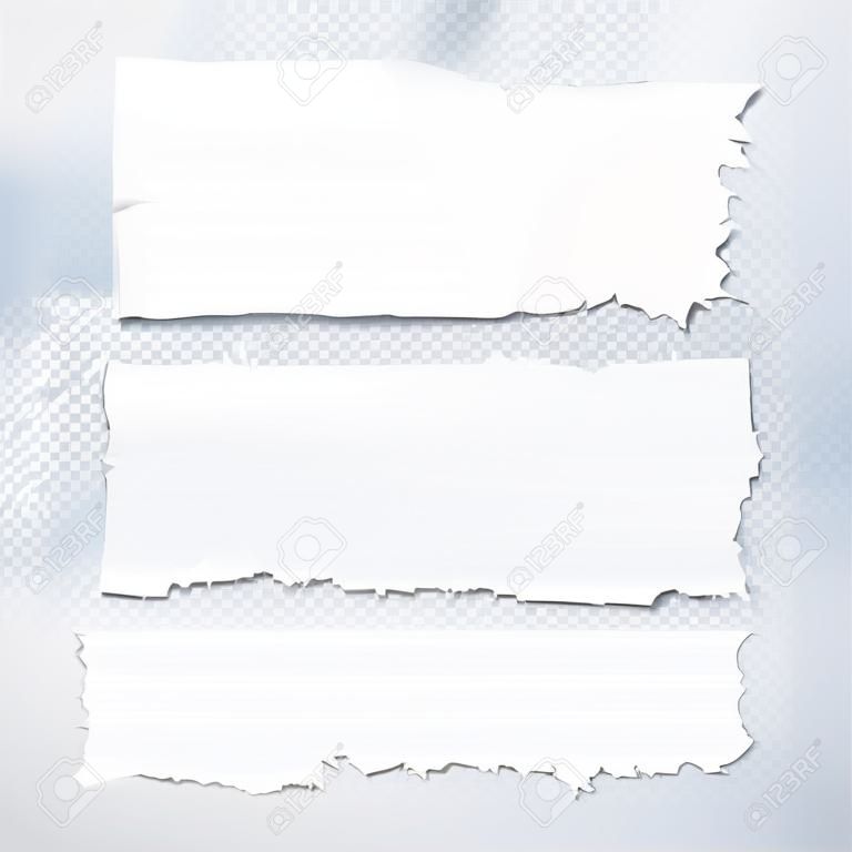 Blank white torn paper pieces on transparent background. Design element ripped sheets paper. Vector illustration set