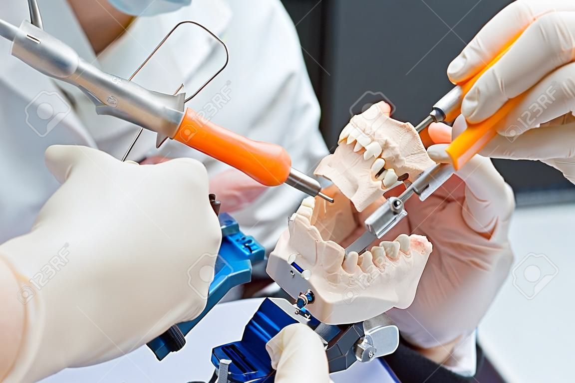 Un technicien-dentiste dentaire travaillant avec des prothèses dans un laboratoire avec de la cire sur un modèle de la mâchoire dans l'articulateur
