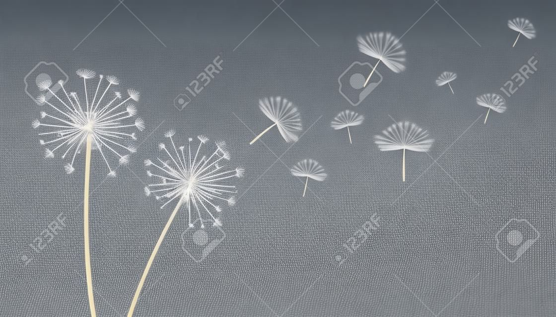 semi di fiori di tarassaco volanti fanno uno sfondo di concetto di desiderio