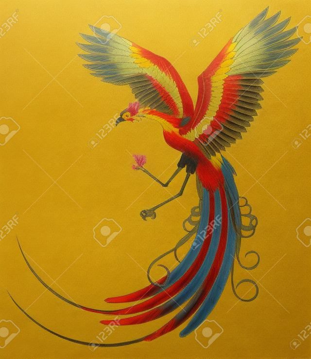 Çin Phoenix
