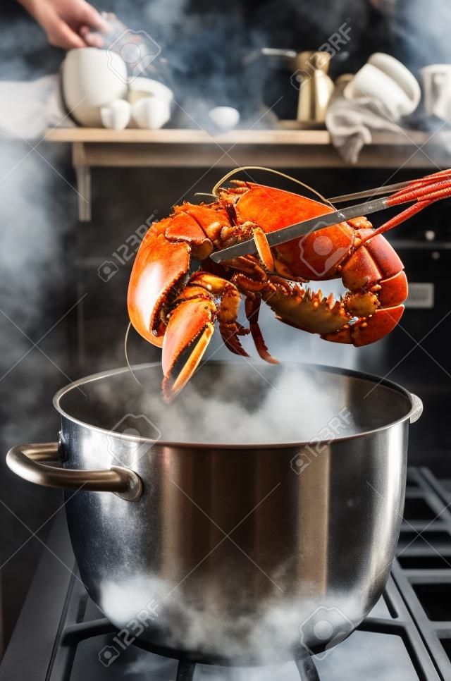 Gotowanego homara podnoszone od garnka w kuchni.