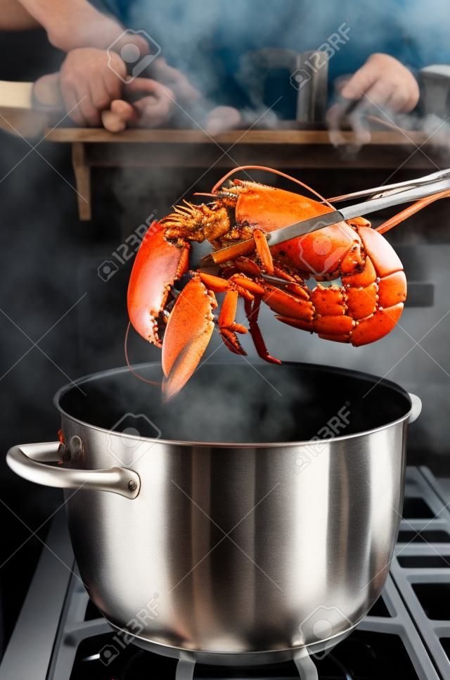Gotowanego homara podnoszone od garnka w kuchni.