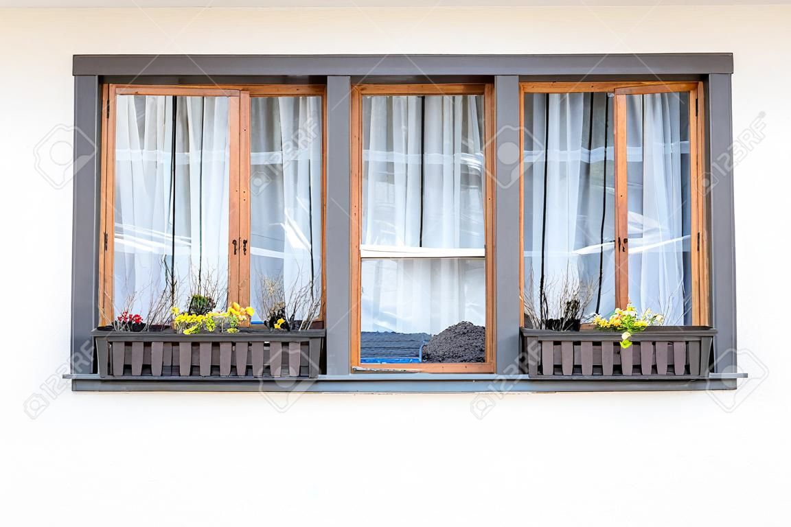 Fenêtre avec plante