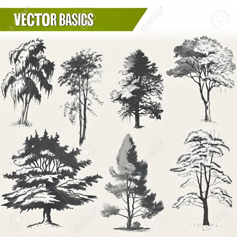 векторные Основы дерево эскизы 2
