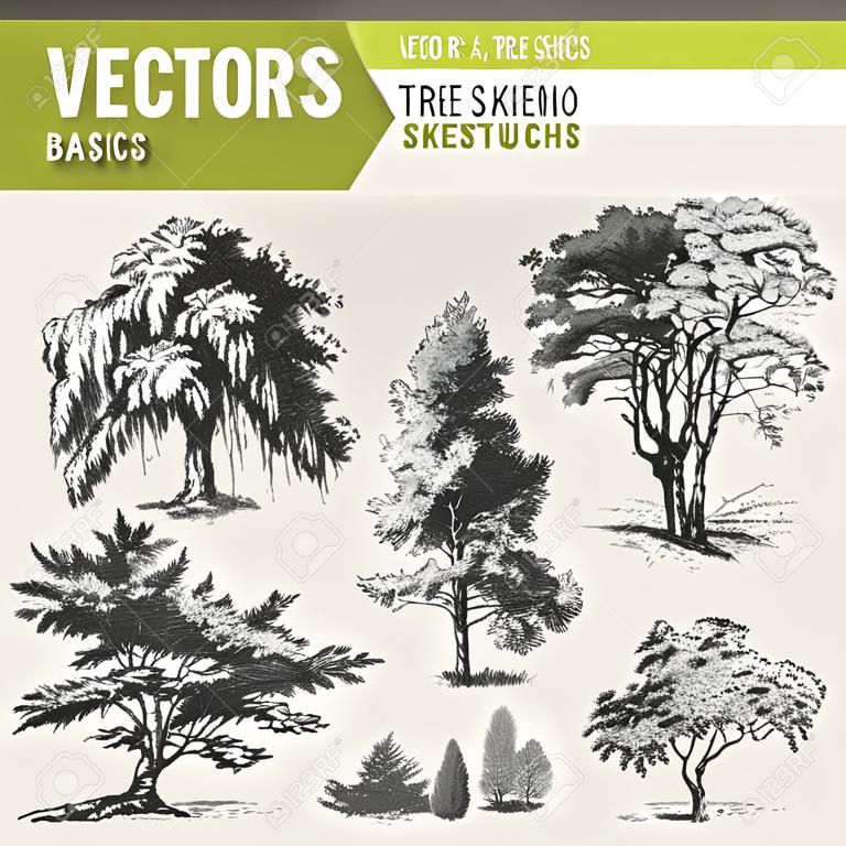 vector basics sketches de árvore 2