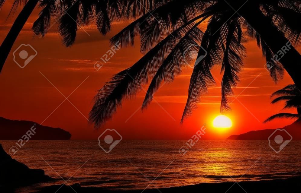 日の出の間にココヤシの木のシルエット