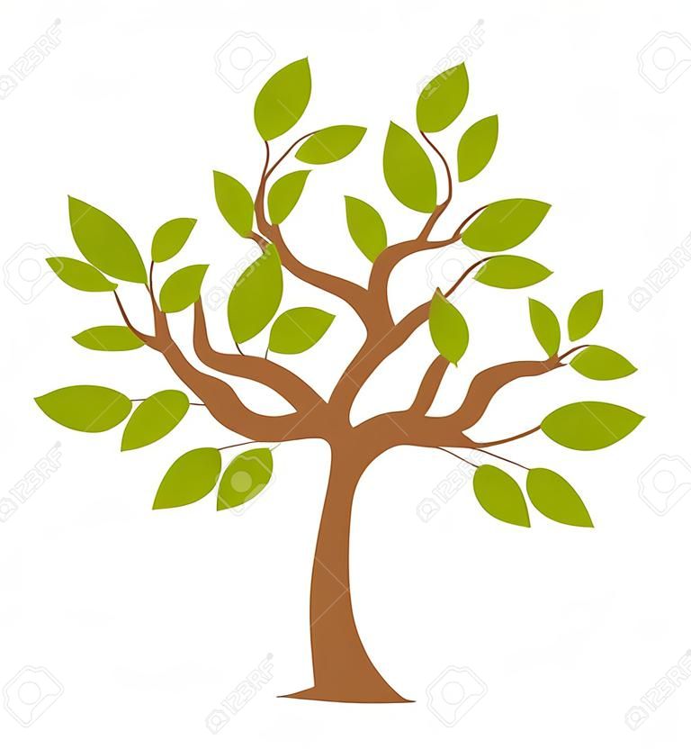 Spring tree with green leaves over white. Vector illustration