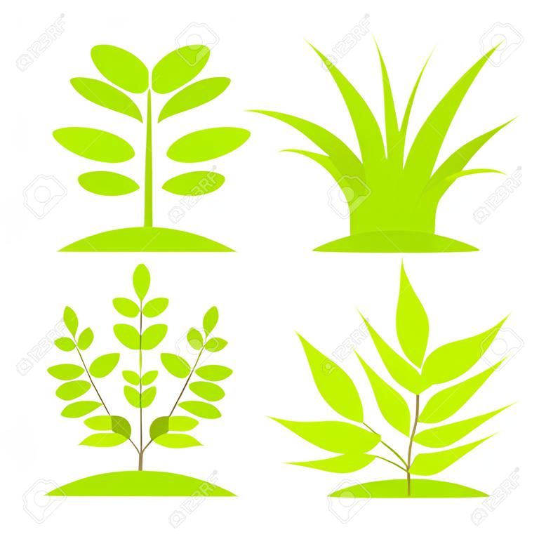 緑の植物の成長のコレクション。